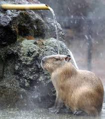 Salle de bain Feng Shui